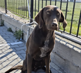 Ekran-Resmi-2026-04-11-17.40.23