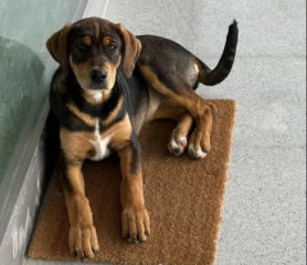 Ekran-Resmi-2026-04-11-17.41.18