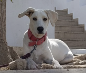 Ekran-Resmi-2026-04-11-17.48.53