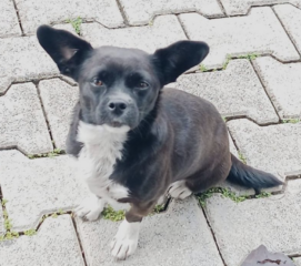 Ekran-Resmi-2026-04-11-17.52.11