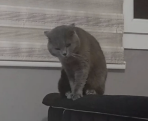 Ekran-Resmi-2026-04-11-17.55.44