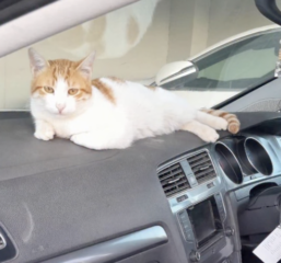 Ekran-Resmi-2026-04-11-18.43.00