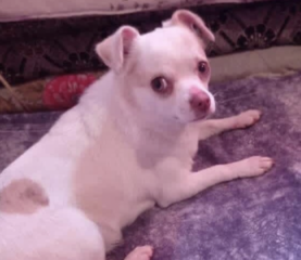 Ekran-Resmi-2026-04-11-18.44.13