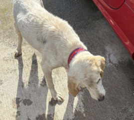 Ekran-Resmi-2026-04-11-18.51.18