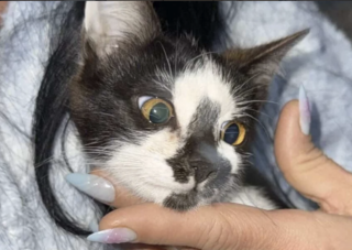 Ekran-Resmi-2026-04-11-18.53.22