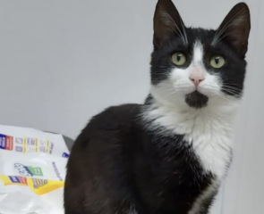 Ekran-Resmi-2026-04-11-19.01.19