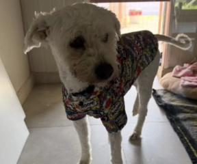 Ekran-Resmi-2026-04-11-19.04.08