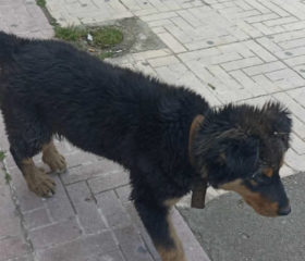 Ekran-Resmi-2026-04-11-19.11.04