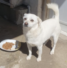 Ekran-Resmi-2026-04-11-19.17.44