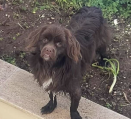 Ekran-Resmi-2026-04-11-19.18.53