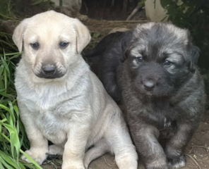 Ekran-Resmi-2026-04-11-19.21.50