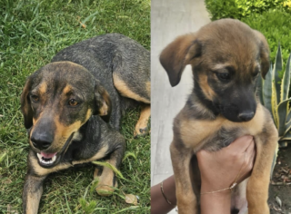 Ekran-Resmi-2026-04-28-20.50.01