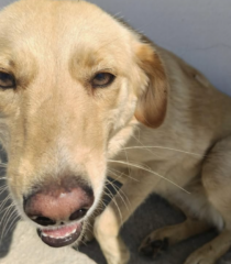 Ekran-Resmi-2026-04-28-20.55.39