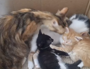 Ekran-Resmi-2026-04-28-21.00.21