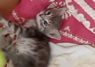 Ekran-Resmi-2026-04-28-21.03.53