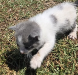 Ekran-Resmi-2026-04-28-21.06.36