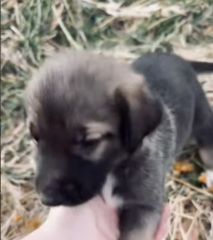 Ekran-Resmi-2026-04-28-21.08.20