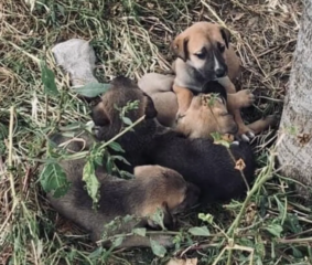 Ekran-Resmi-2026-04-28-21.20.25