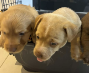 Ekran-Resmi-2026-04-28-21.26.02