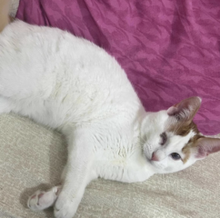 Ekran-Resmi-2026-04-28-21.29.47