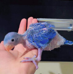 F1C8C561-47CB-4FB4-9DEE-5D10B0B32659