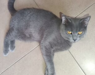 inbound4376390702943421579