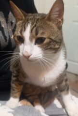 inbound71177727832926226