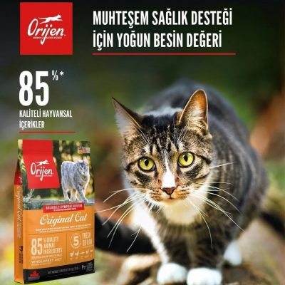 orijen-comfy